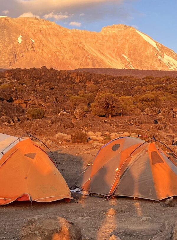 Mount Kilimanjaro at sunset