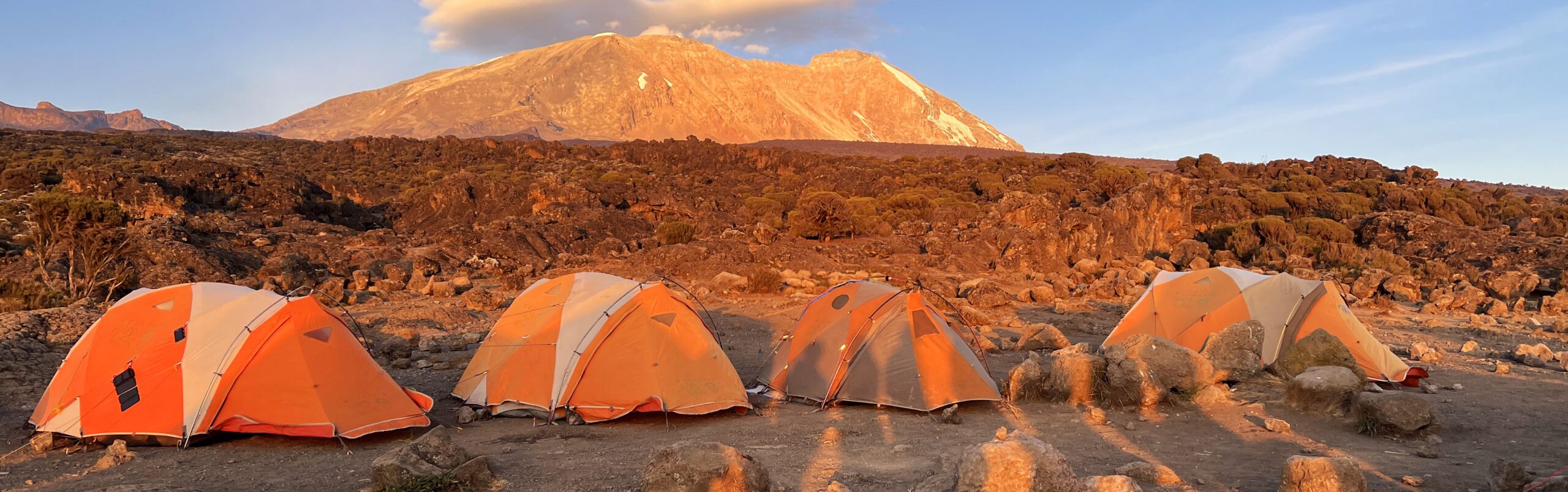Mount Kilimanjaro at sunset