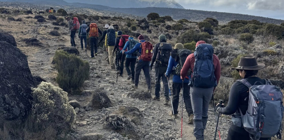 Hiking on Mount Kilimanjaro