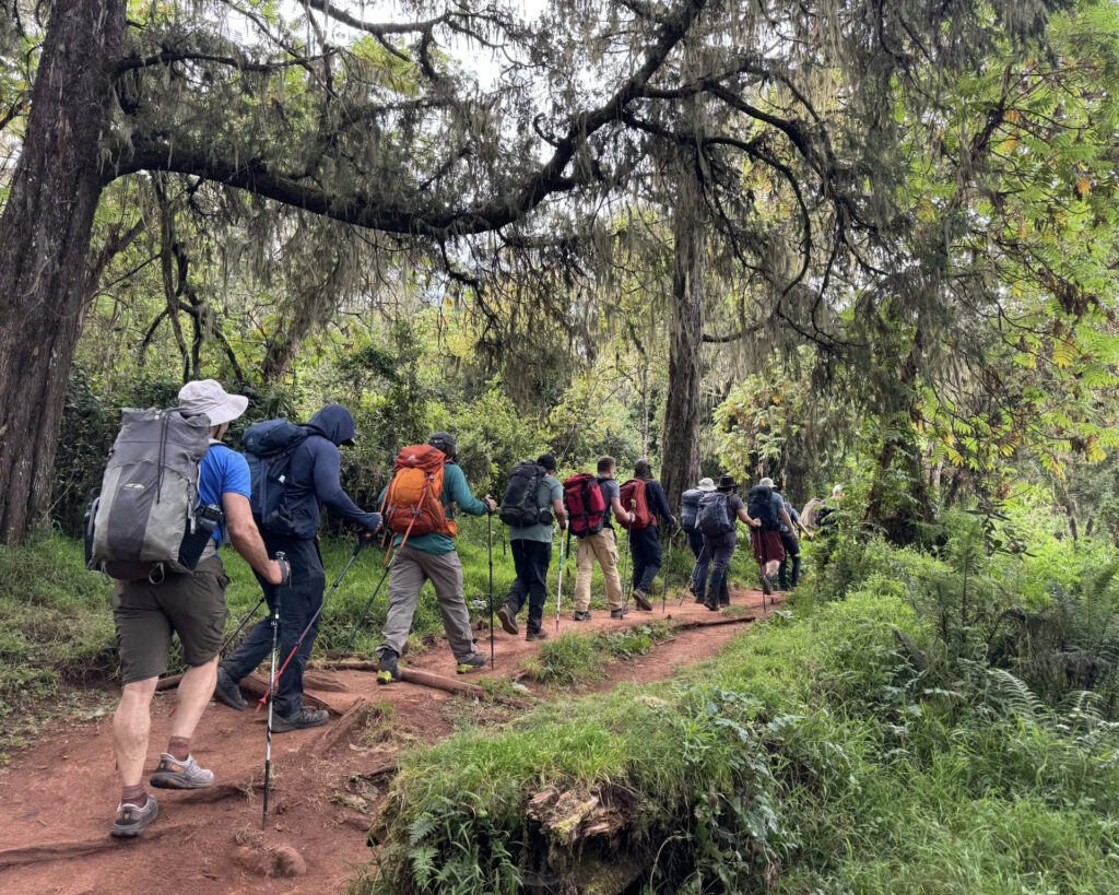 Hikers in the rainforest of Mount Kilimanjaro