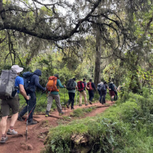 Hikers in the rainforest of Mount Kilimanjaro