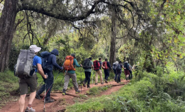 Hikers in the rainforest of Mount Kilimanjaro