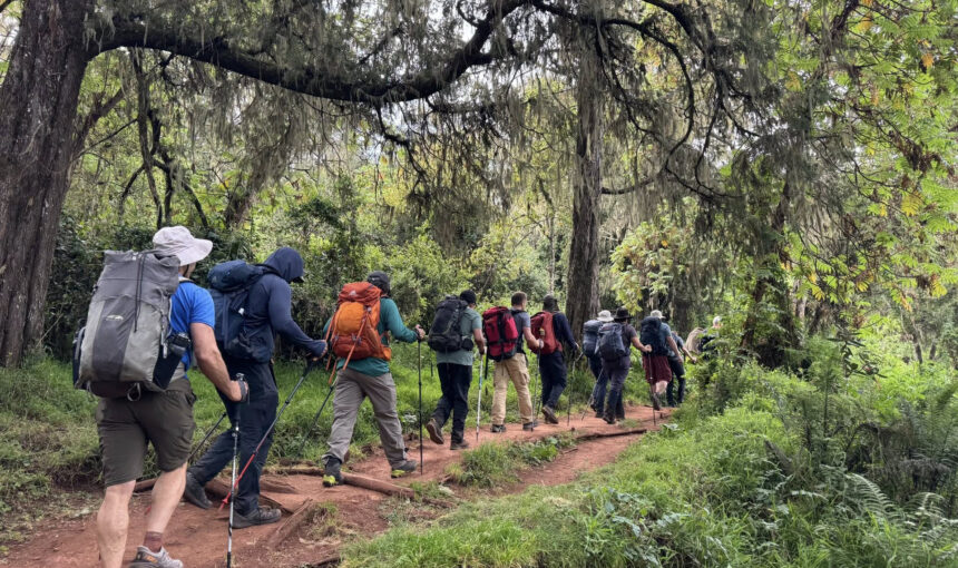 Marangu Route Cost 2026: Kilimanjaro 6 Days Itinerary, Prices & Complete Guide
