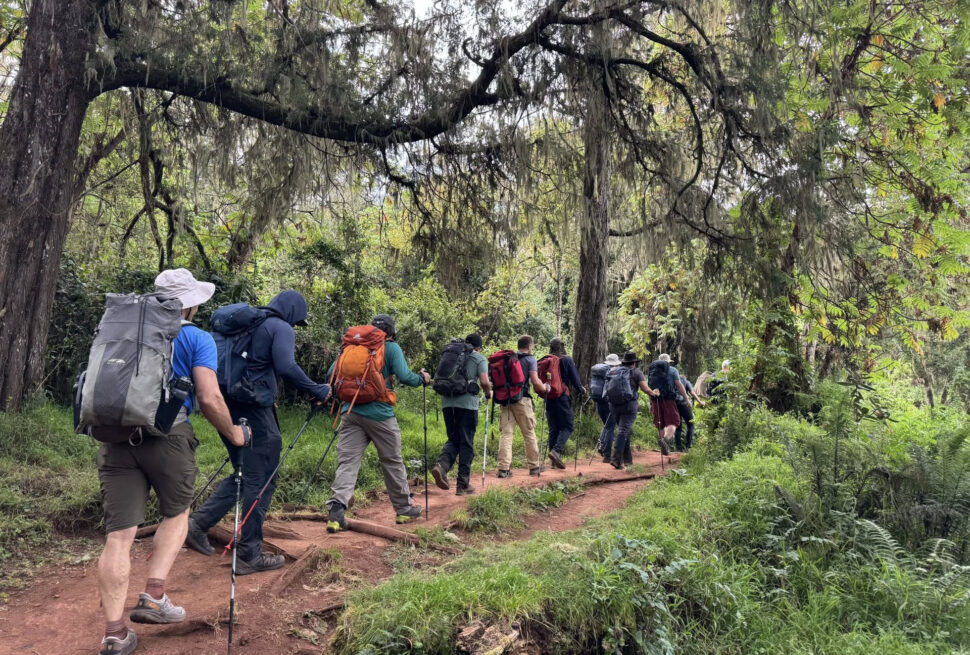 Marangu Route Cost Kilimanjaro experience showing hikers trekking through dense rainforest at the start of Mount Kilimanjaro climb in Tanzania.