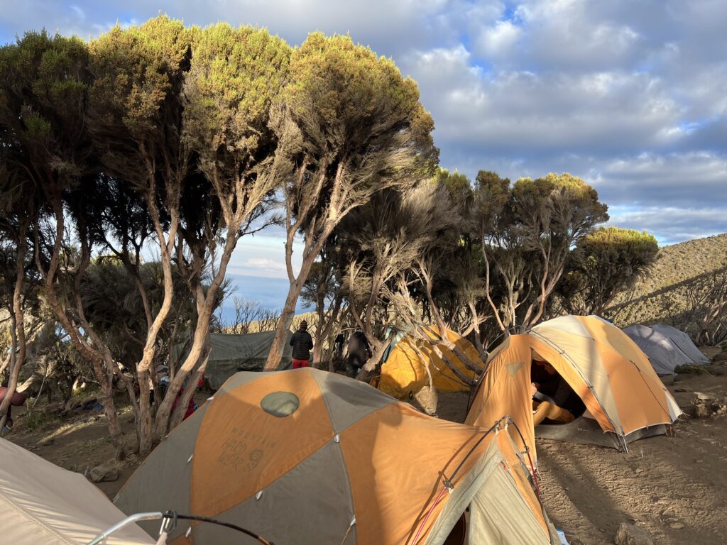 Millennium Camp, Mount Kilimanjaro