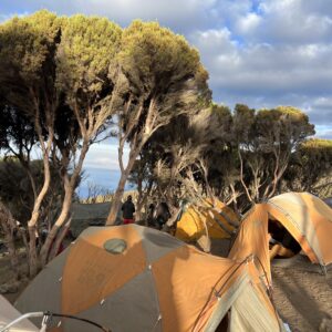 Millennium Camp, Mount Kilimanjaro
