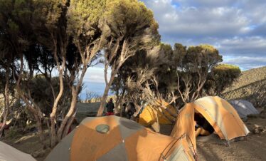 Millennium Camp, Mount Kilimanjaro