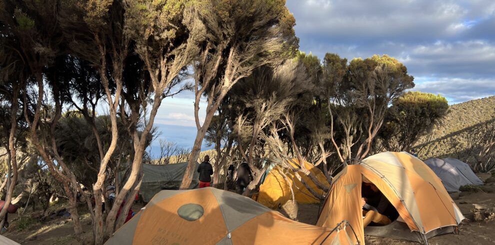 Millennium Camp, Mount Kilimanjaro