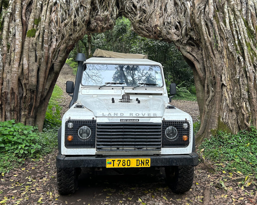 Safari Truck at Fig Tree Arch in Arusha National Park