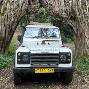 Safari Truck at Fig Tree Arch in Arusha National Park