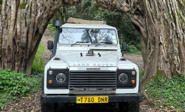 Safari Truck at Fig Tree Arch in Arusha National Park