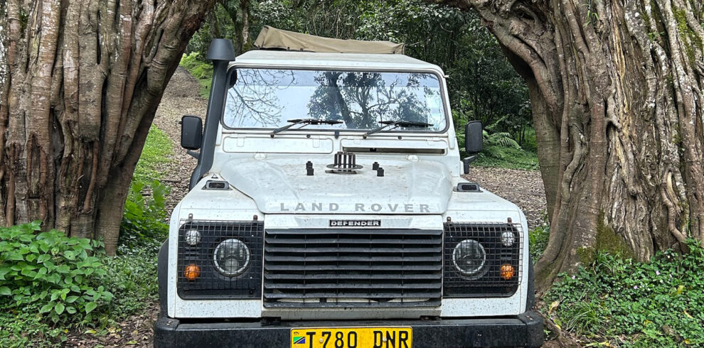 Safari Truck at Fig Tree Arch in Arusha National Park