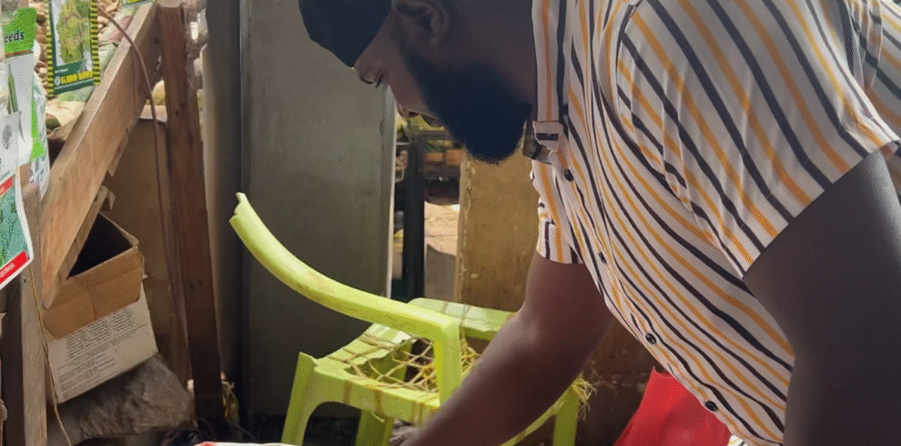 Guided cultural visit at a local market near Arusha