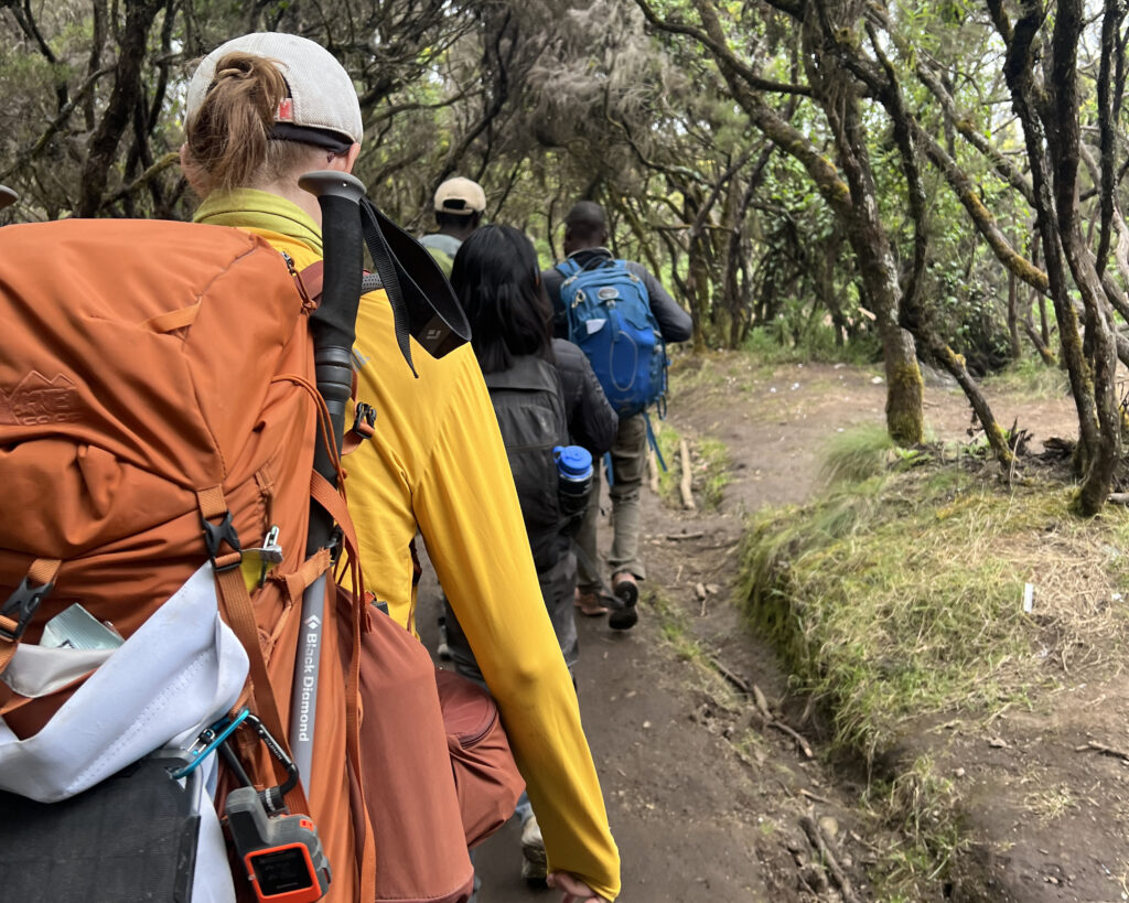 Trekkers carrying backpacks and essential gear while ascending Mount Kilimanjaro, illustrating the essential packing list for international climbers