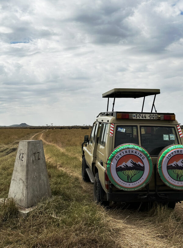 Guests enjoying a safari game drive in Serengeti National Park