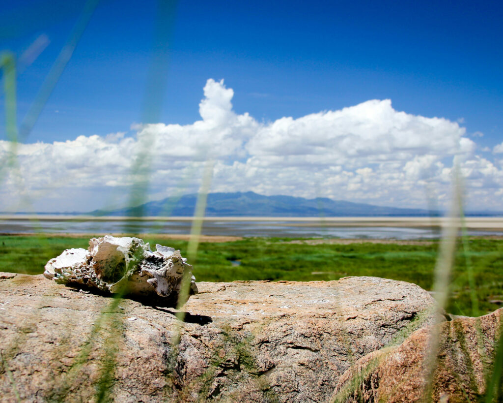 Lake Manyara, Tanzania