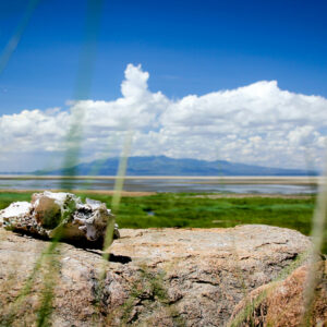 Lake Manyara, Tanzania