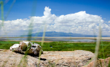 Lake Manyara, Tanzania