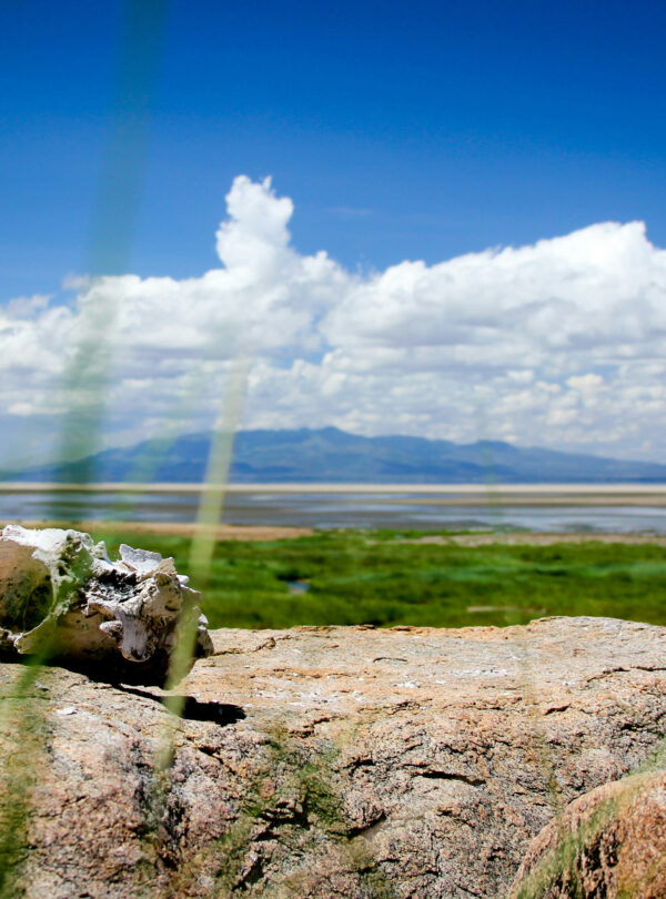 Lake Manyara, Tanzania