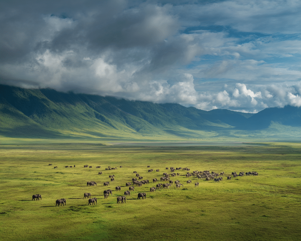 Ngorongoro Crater panoramic view from the rim