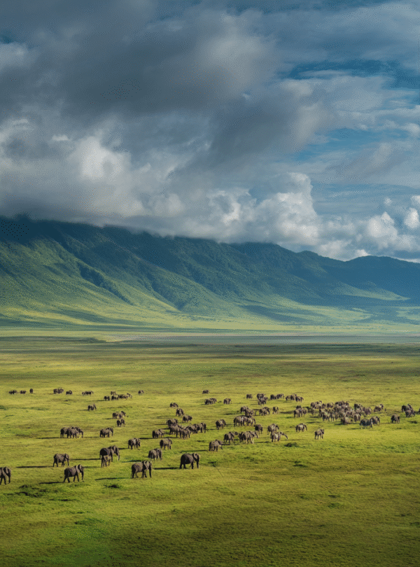 Ngorongoro Crater panoramic view from the rim