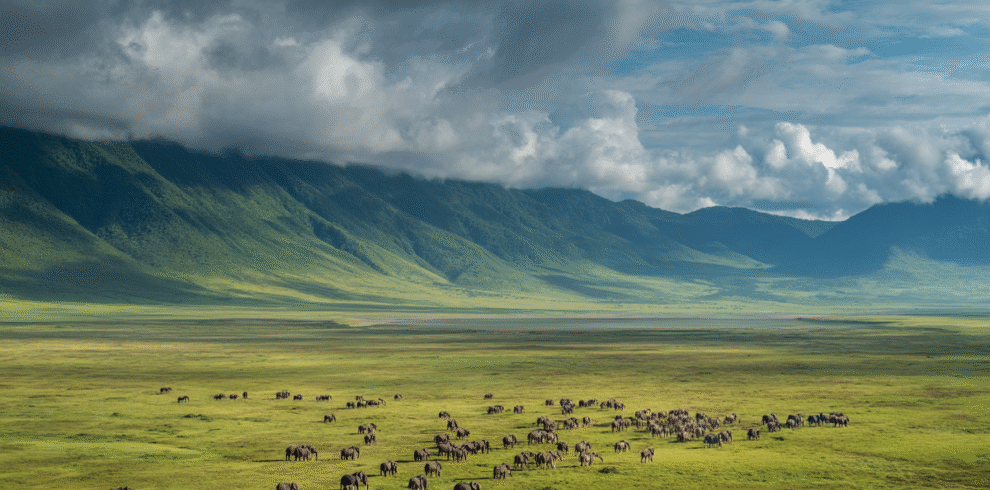Ngorongoro Crater panoramic view from the rim