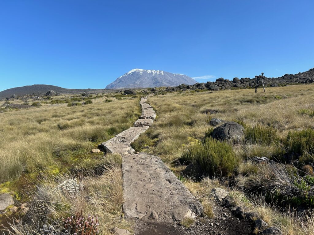 Marangu Route towards the summit of Mount Kilimanjaro.
