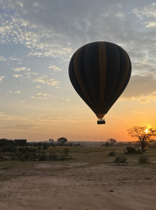 Hot air balloons at sunrise over Serengeti plains