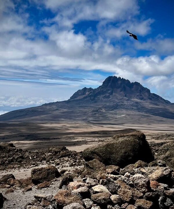 Mount Kilimanjaro with Shira Plateau in the foreground