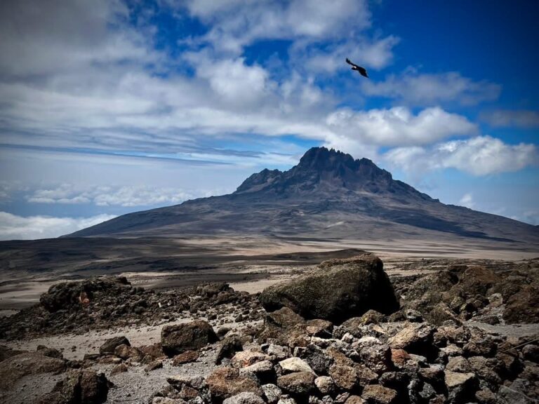 Mount Kilimanjaro with Shira Plateau in the foreground
