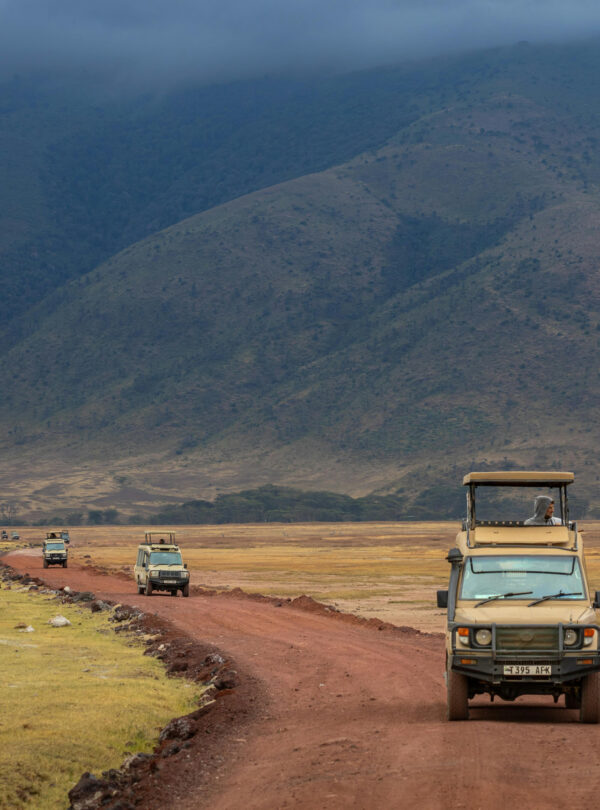 Safari Trucks in Ngorongoro Crater Park