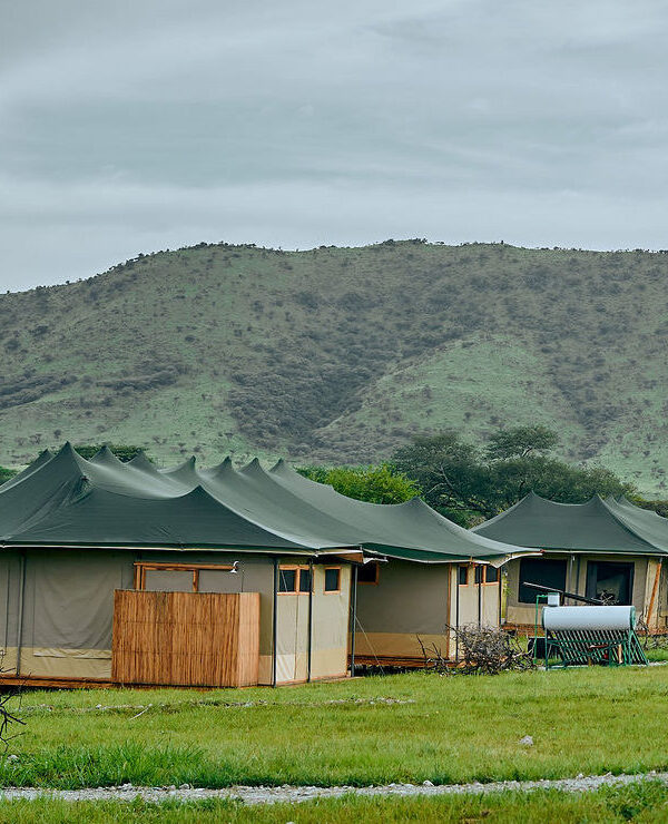 Tented Lodge in Serengeti