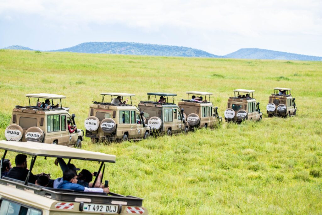 Safari Trucks in Serengeti