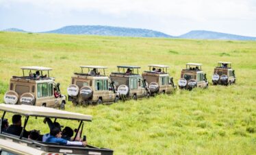 Safari Trucks in Serengeti