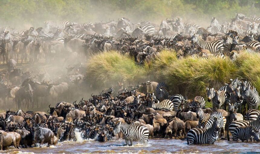 6-Day Serengeti Drive-In Safari Cost: Budget, Mid-Range & Luxury Prices 2026/2027