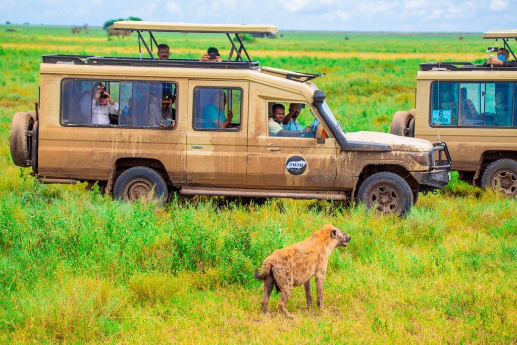 Jeep in the Serengeti