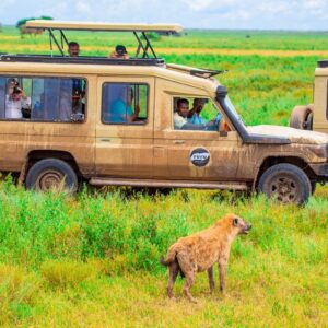 Jeep in the Serengeti