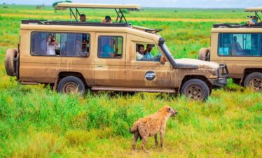 Jeep in the Serengeti