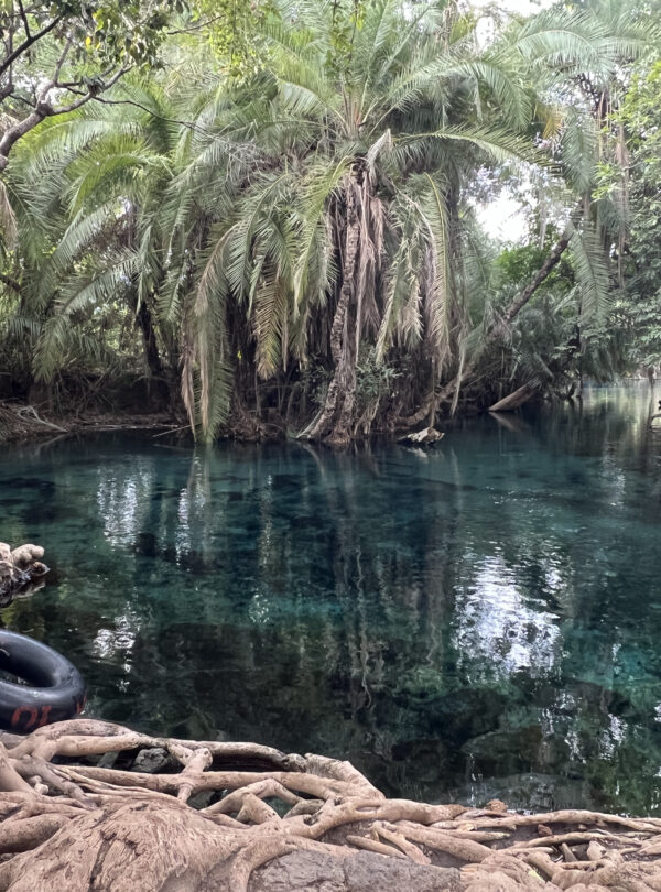 Chemka Hot Springs, Moshi