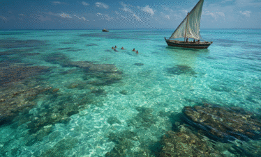 Marine and ocean experiences in Zanzibar