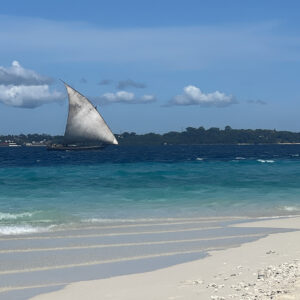 Traditional dhow boat at Nakupenda Sandbank, Zanzibar