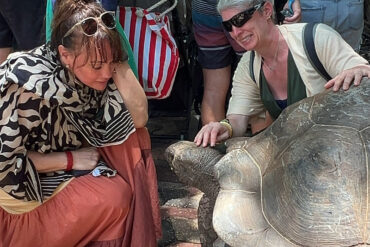 Giant Aldabra tortoise and tourists at Prison Island Zanzibar during an 8-day Lemosho & Zanzibar combo