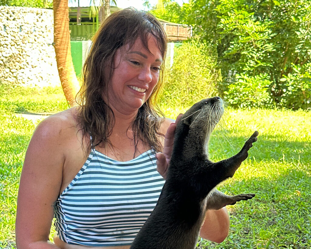Otter Experience at Cheetah's Rock, Zanzibar
