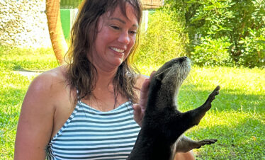 Otter Experience at Cheetah's Rock, Zanzibar