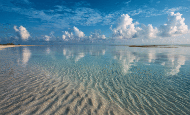 Mnemba Atoll waters in Zanzibar