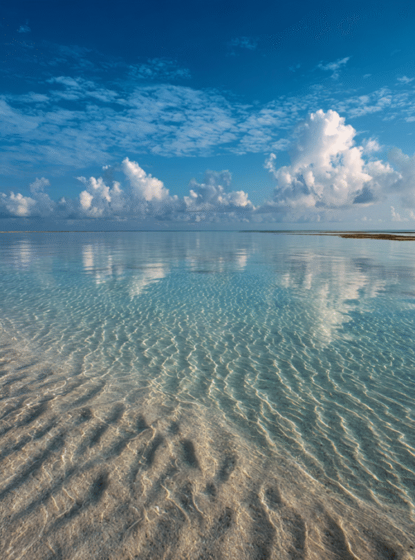 Mnemba Atoll waters in Zanzibar