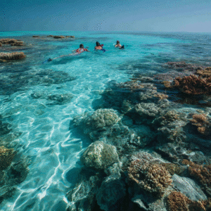 Snorkeling above coral reefs at Mnemba Atoll in Zanzibar