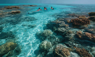 Snorkeling above coral reefs at Mnemba Atoll in Zanzibar
