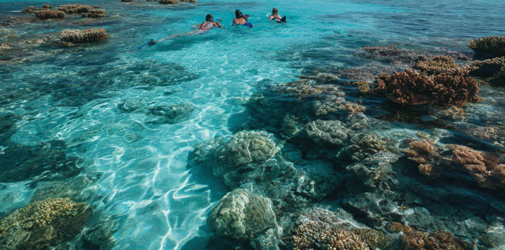 Snorkeling above coral reefs at Mnemba Atoll in Zanzibar