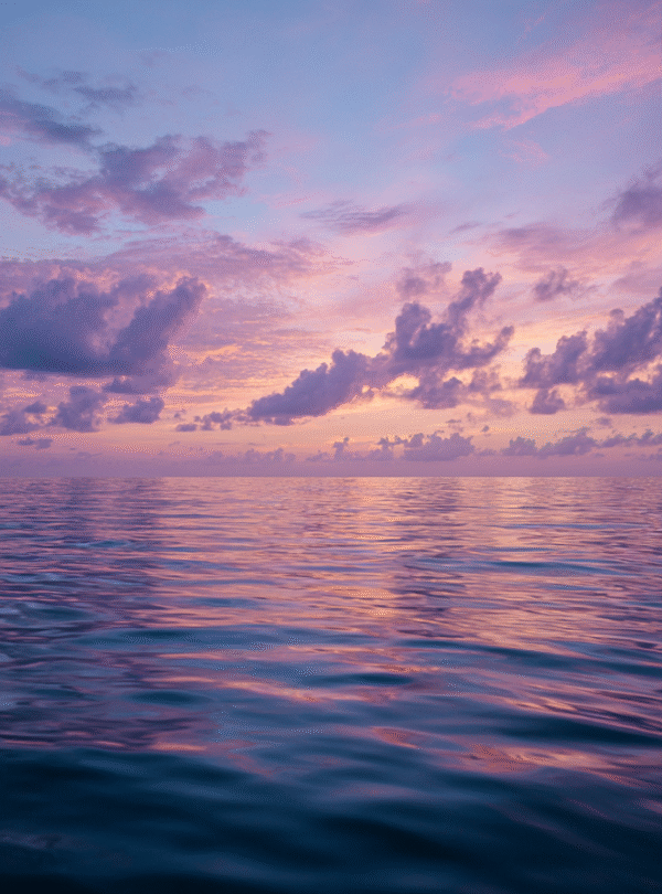 Early morning ocean conditions during a dolphin experience in Zanzibar
